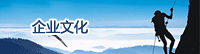 企業(yè)文化